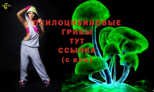 гидропоника Каменск-Шахтинский