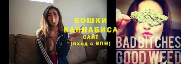 шишки Лагань