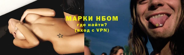 ГАЛЛЮЦИНОГЕННЫЕ ГРИБЫ Корсаков